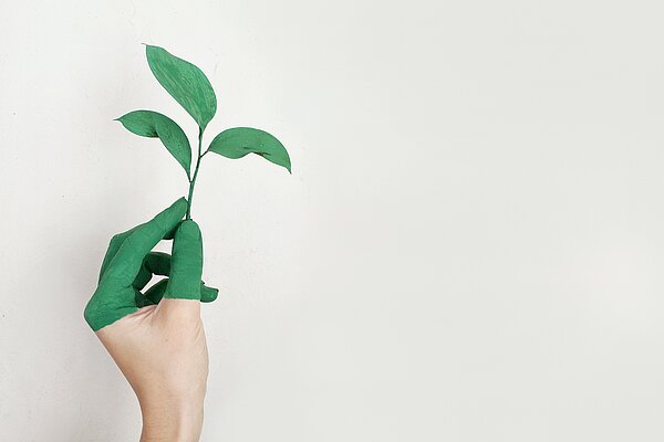 Eine Hand mit grünen FIngern hält eine grüne Pflanze 